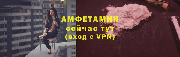 гидра Бородино