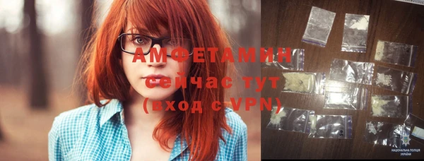 гидра Бородино