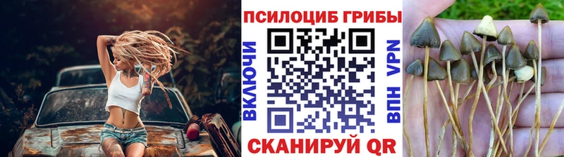 MEGA как войти  Верхняя Тура  Галлюциногенные грибы мухоморы 